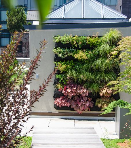 Green Roofs + Wall Systems